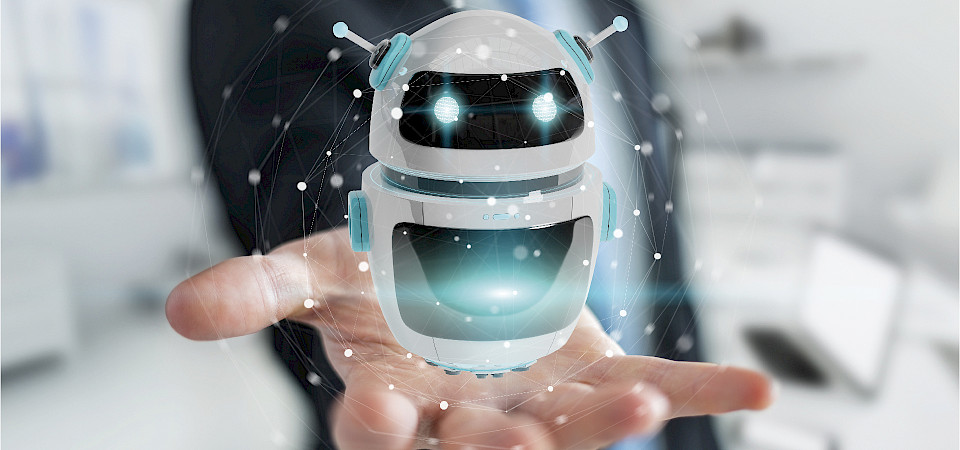 Individual AI software solutions