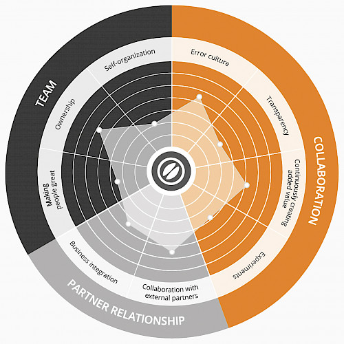 Quantified Agile Questionnaire