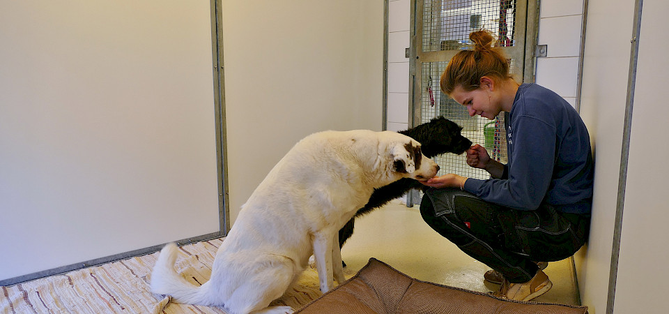 Pflegerin Clara Pöhlmann mit Sami und Lissi | Tierschutzverein München e. V.