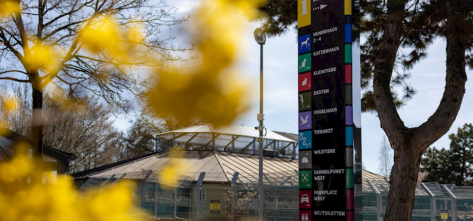 Wegweiser_Tierschutzverein München e. V.