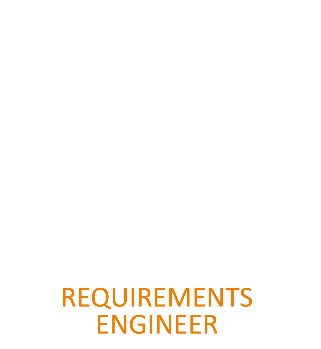 Requirements Engineer