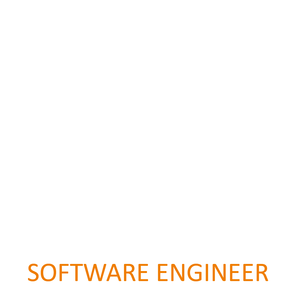 Software Engineer