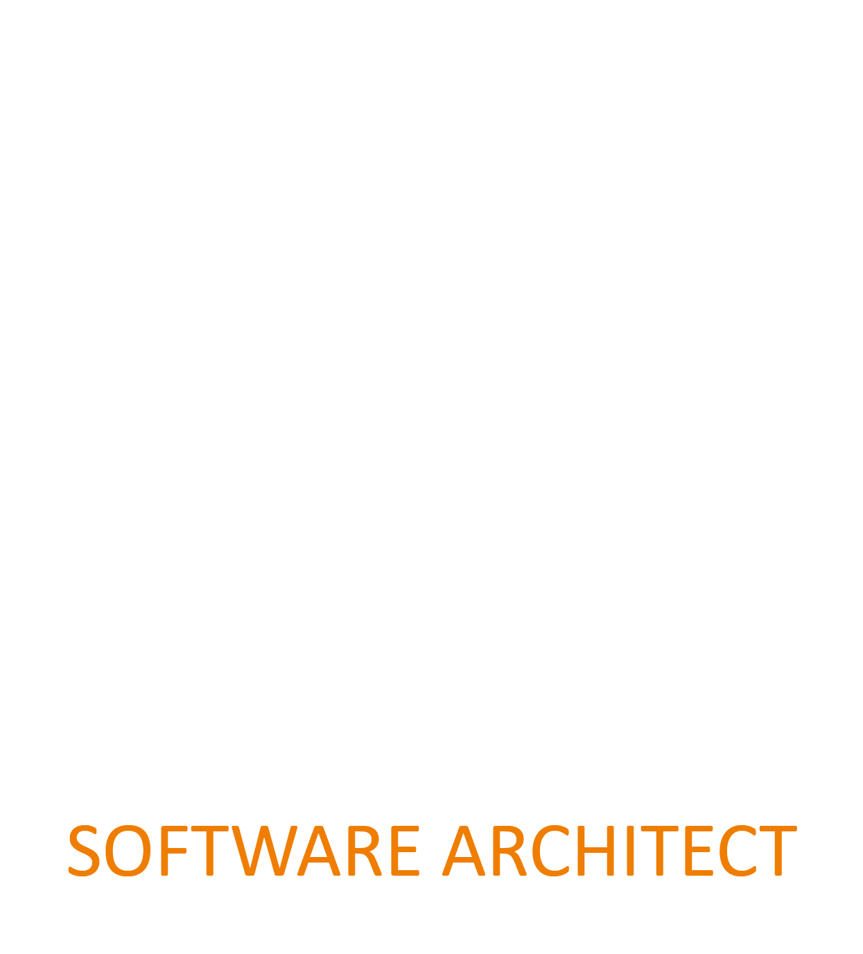 Software Architect