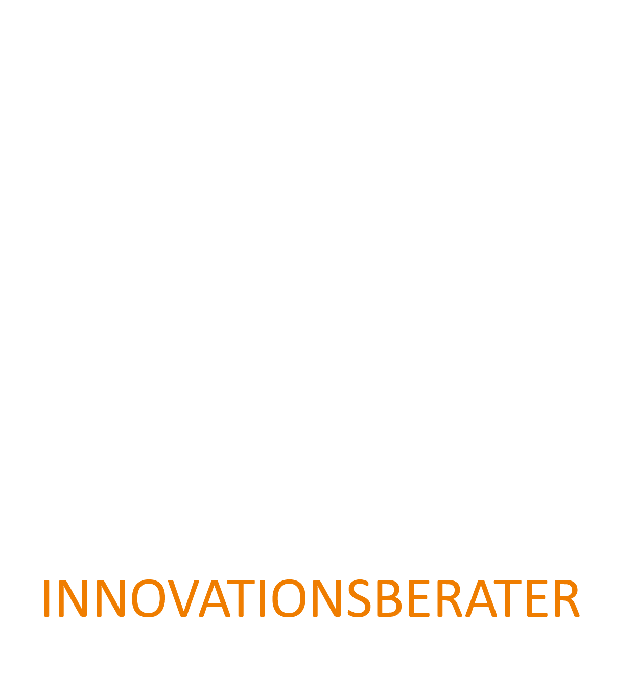 Innovation Consultant