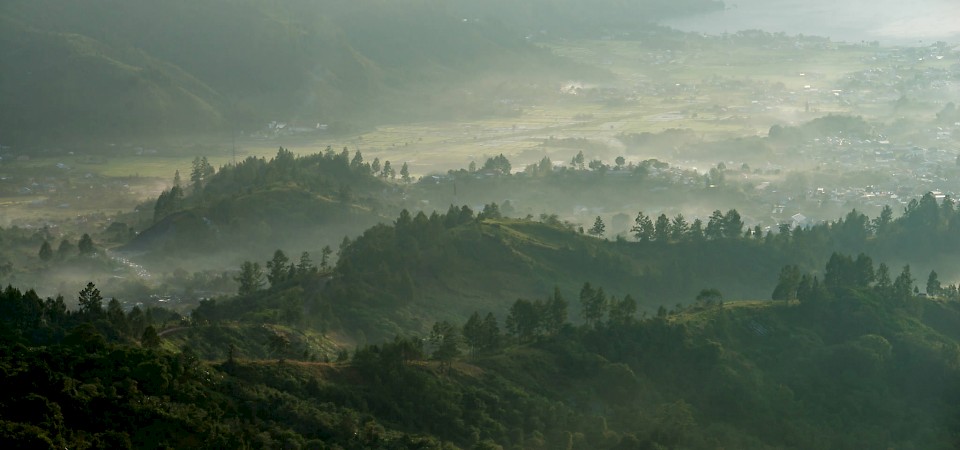 Orang Utan Coffe Project - Landscape